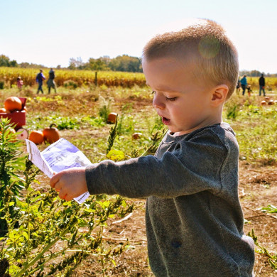 club vacances enfants ferme fournols d auvergne