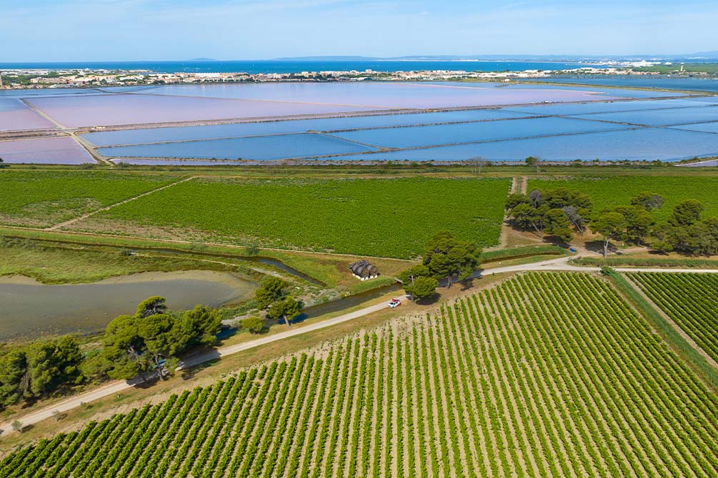 location vacances le grau du roi azureva salins